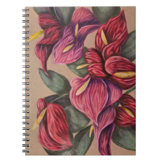 Carnet d'anthurium rouge et rose