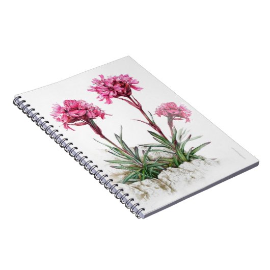 Carnet d'aquarelle alpine (Côté Droit)