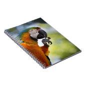 carnet d'ara (Côté Droit)