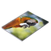 carnet d'ara (Côté gauche)