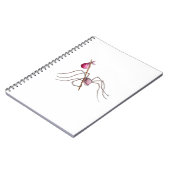 Carnet d'araignée de clochard (Côté gauche)