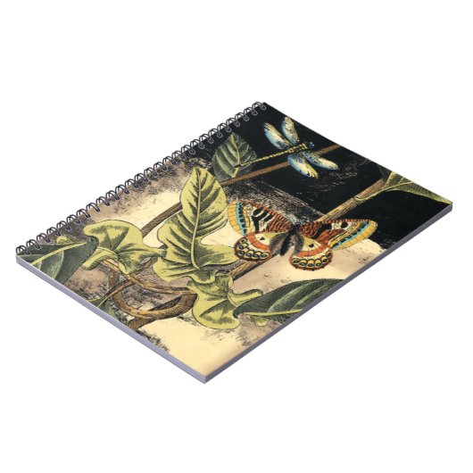 Carnet Dark Nature Scene par Vision Studio (Côté gauche)