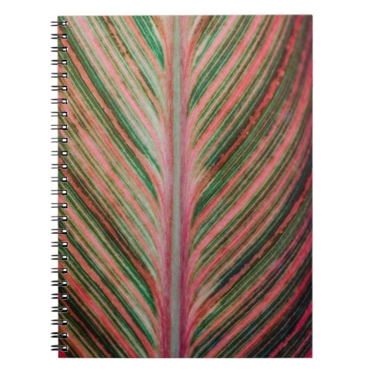 Carnet d'art (Devant)