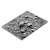 Carnet DART Dimorphos Asteroid Moonlet Surface (Côté gauche)