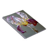 Carnet d'art d'Iris (Côté Droit)