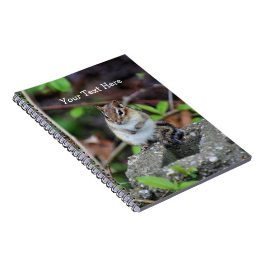 Carnet d'art naturel de Chubby Chipmunk (Côté Droit)