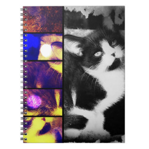 Carnet d'art photo Tuxedo Kitten
