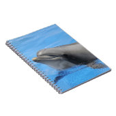 Carnet Dauphin à bec (Côté Droit)