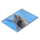 Carnet Dauphin à bec (Côté gauche)