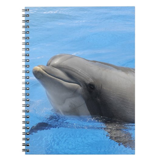 Carnet Dauphin à bec (Devant)