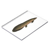 Carnet Dauphin australien (Côté gauche)