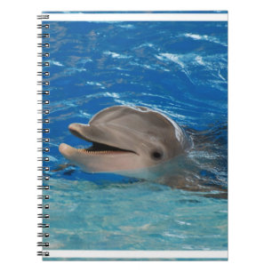 Carnet Dauphin mignon de vibration