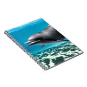 Carnet Dauphin souriant (Côté Droit)
