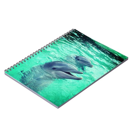 Carnet Dauphins (Côté gauche)