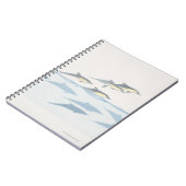 Carnet Dauphins communs (Côté gauche)