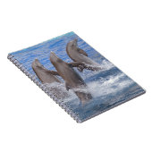 Carnet Dauphins sortant de l'eau (Côté Droit)