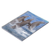 Carnet Dauphins sortant de l'eau (Côté gauche)