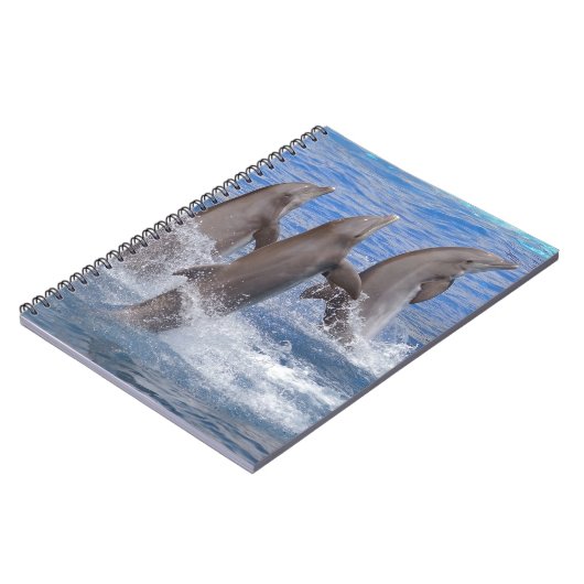 Carnet Dauphins sortant de l'eau (Côté gauche)