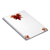 Carnet d'automne (Côté Droit)