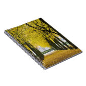 Carnet d'automne (Côté Droit)