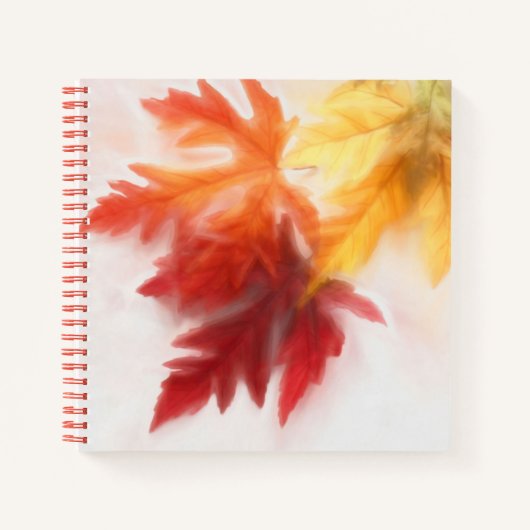 Carnet d'automne adouci (Devant)