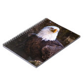 Carnet de Bald Eagle (Côté gauche)