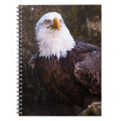 Carnet de Bald Eagle (Devant)