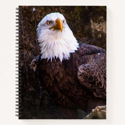 Carnet de Bald Eagle (Devant)