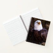 Carnet de Bald Eagle (Intérieur)