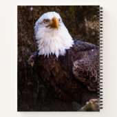 Carnet de Bald Eagle (Dos)