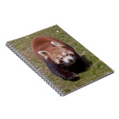 Carnet de Bandit (Côté Droit)