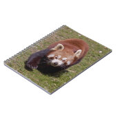 Carnet de Bandit (Côté gauche)