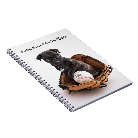 Carnet de baseball (Côté Droit)
