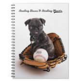 Carnet de baseball (Devant)