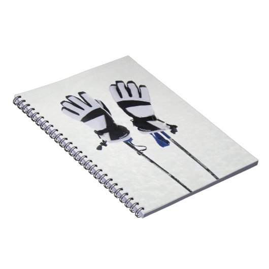 Carnet de bâtons et gants de ski (Côté Droit)