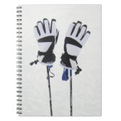 Carnet de bâtons et gants de ski (Devant)