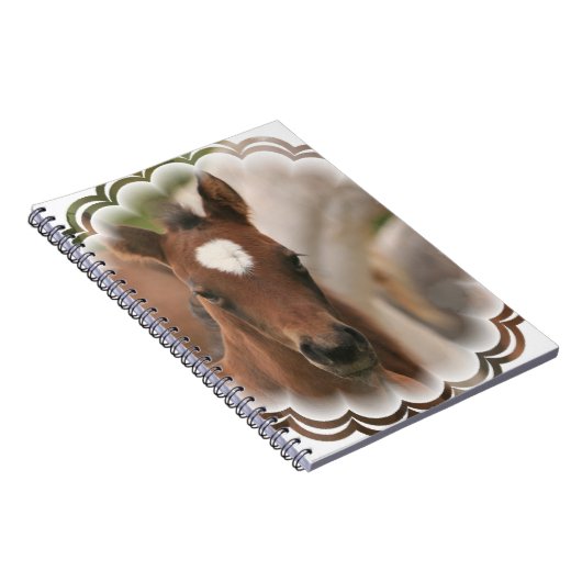 Carnet de bébé de cheval (Côté Droit)