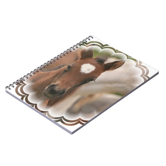 Carnet de bébé de cheval (Côté gauche)