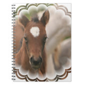 Carnet de bébé de cheval (Devant)