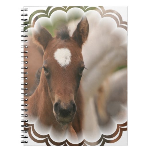 Carnet de bébé de cheval (Devant)