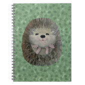 Carnet de bébé Hérisson (Devant)