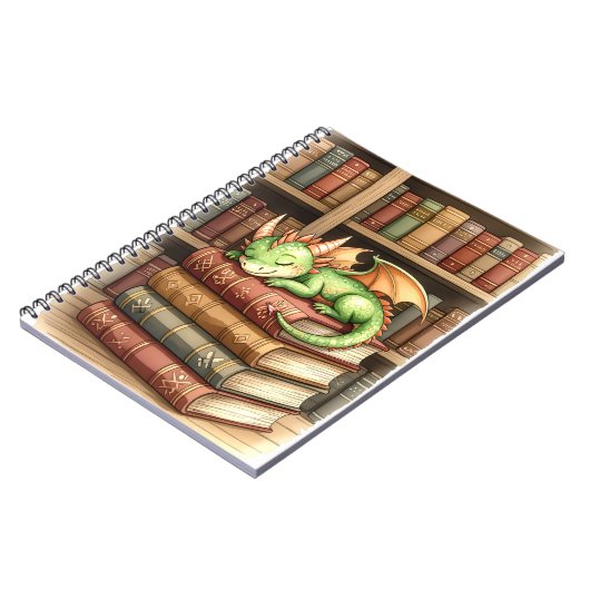 Carnet de bibliothèque de dragon dormant (Côté gauche)