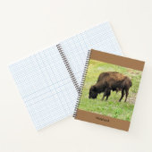Carnet de bison (Intérieur)