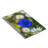 Carnet de bleuet (Côté Droit)