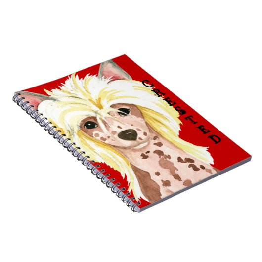 Carnet de blocs de couleur cramé chinois (Côté Droit)