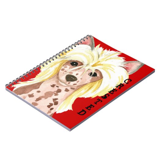 Carnet de blocs de couleur cramé chinois (Côté gauche)