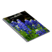 Carnet de Bluebonnets de Texas (Côté Droit)
