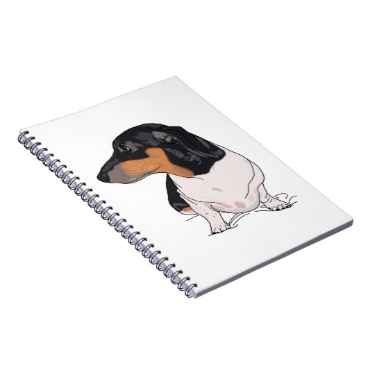 Carnet de boogie (Côté Droit)