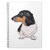 Carnet de boogie (Devant)