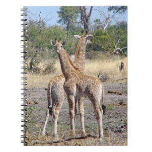 Carnet de bord/journal de la Girafe Babies